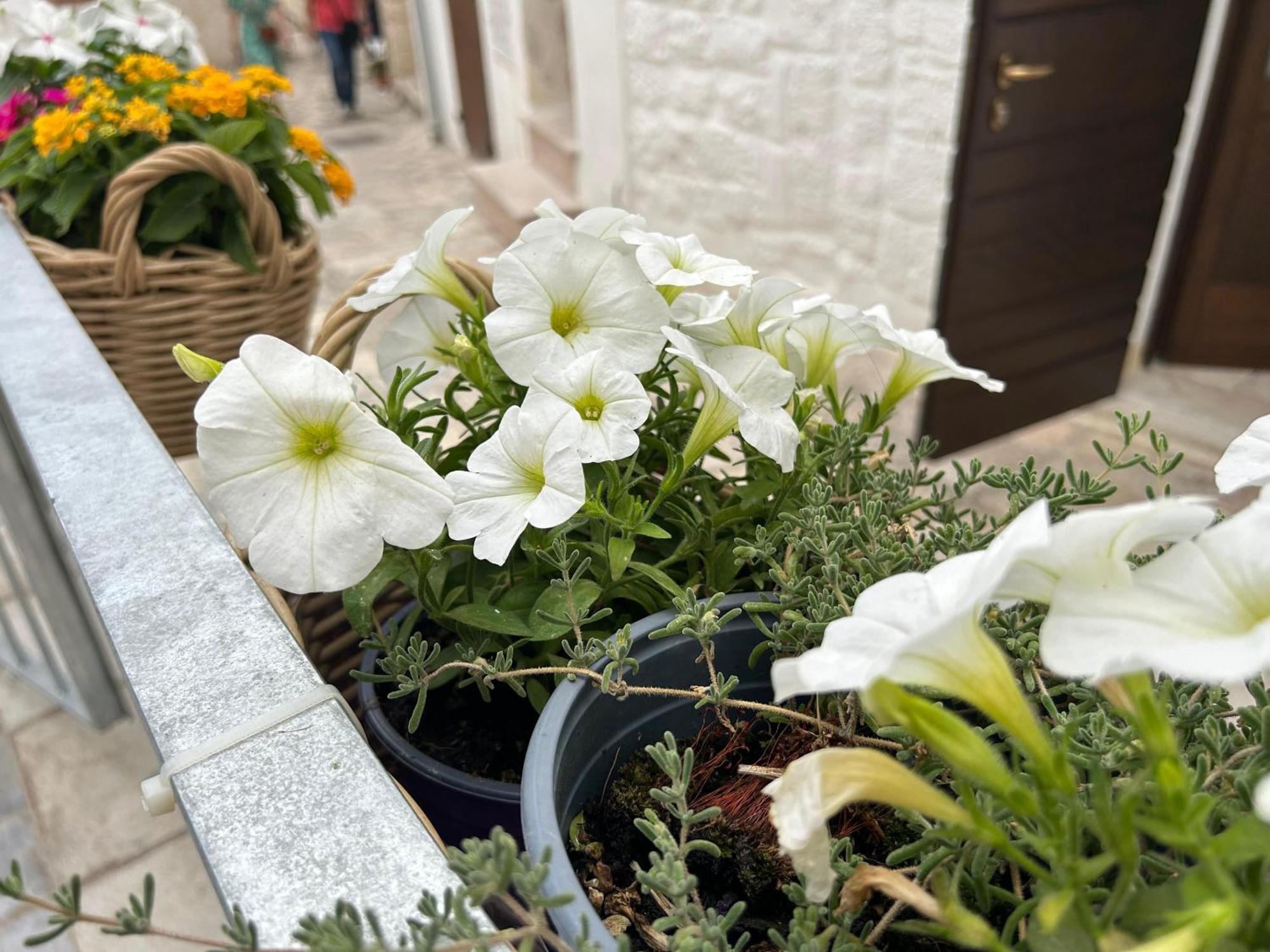 Bed and Breakfast Trame Poesia Di Mare 2 Polignano a Mare Exterior foto